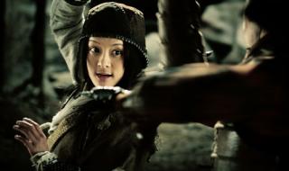 甄子丹画皮 甄子丹画皮